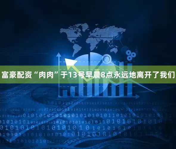 富豪配资“肉肉”于13号早晨8点永远地离开了我们
