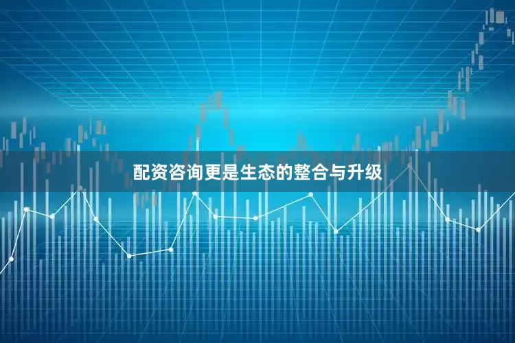 配资咨询更是生态的整合与升级