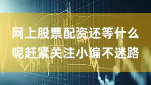 网上股票配资还等什么呢赶紧关注小编不迷路