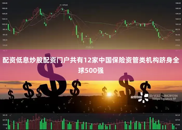 配资低息炒股配资门户共有12家中国保险资管类机构跻身全球500强