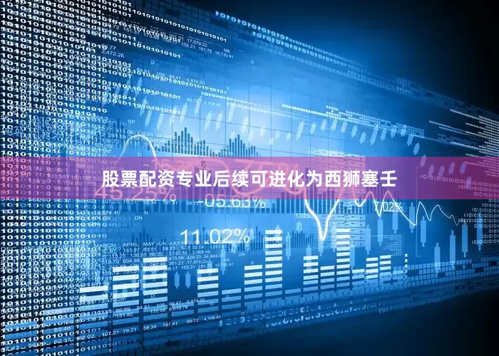 股票配资专业后续可进化为西狮塞壬