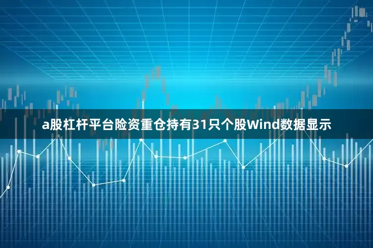 a股杠杆平台　　险资重仓持有31只个股　　Wind数据显示