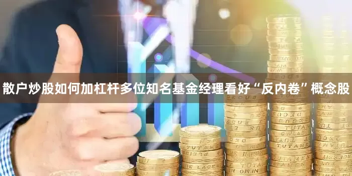 散户炒股如何加杠杆多位知名基金经理看好“反内卷”概念股