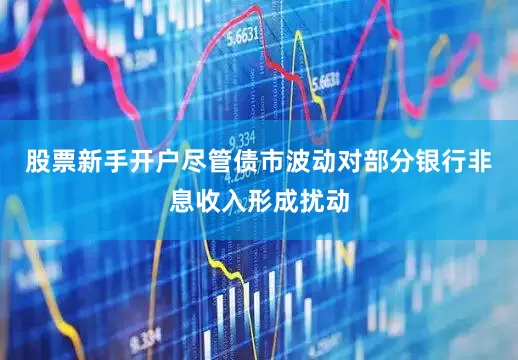股票新手开户尽管债市波动对部分银行非息收入形成扰动