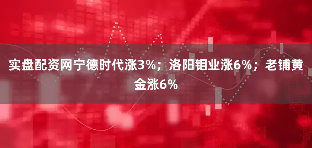 实盘配资网宁德时代涨3%；洛阳钼业涨6%；老铺黄金涨6%