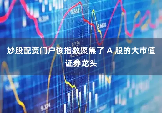 炒股配资门户该指数聚焦了 A 股的大市值证券龙头